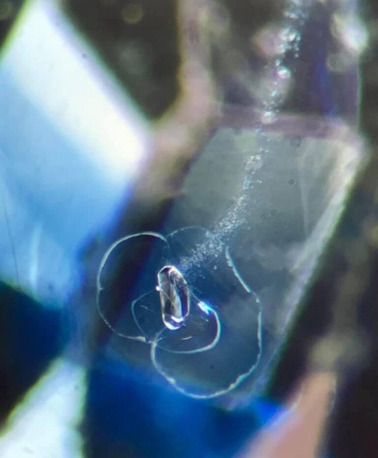 Inner World: Crystal with Skid Marks