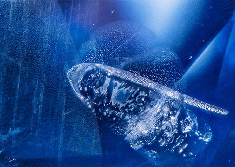 Inner World: Sapphire Fingerprints